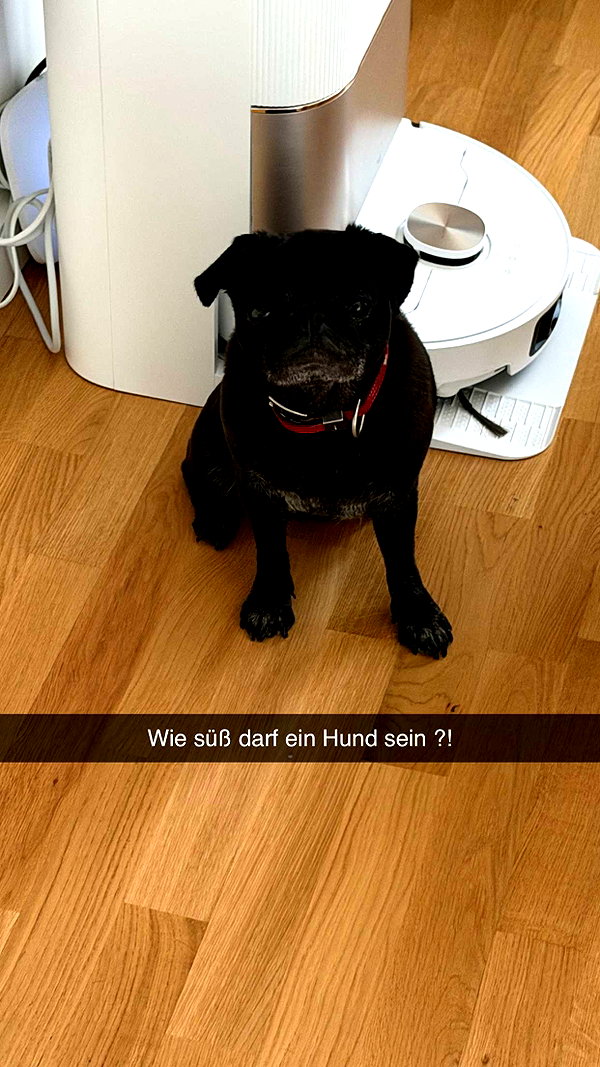 alexissshv snapchat image archive image