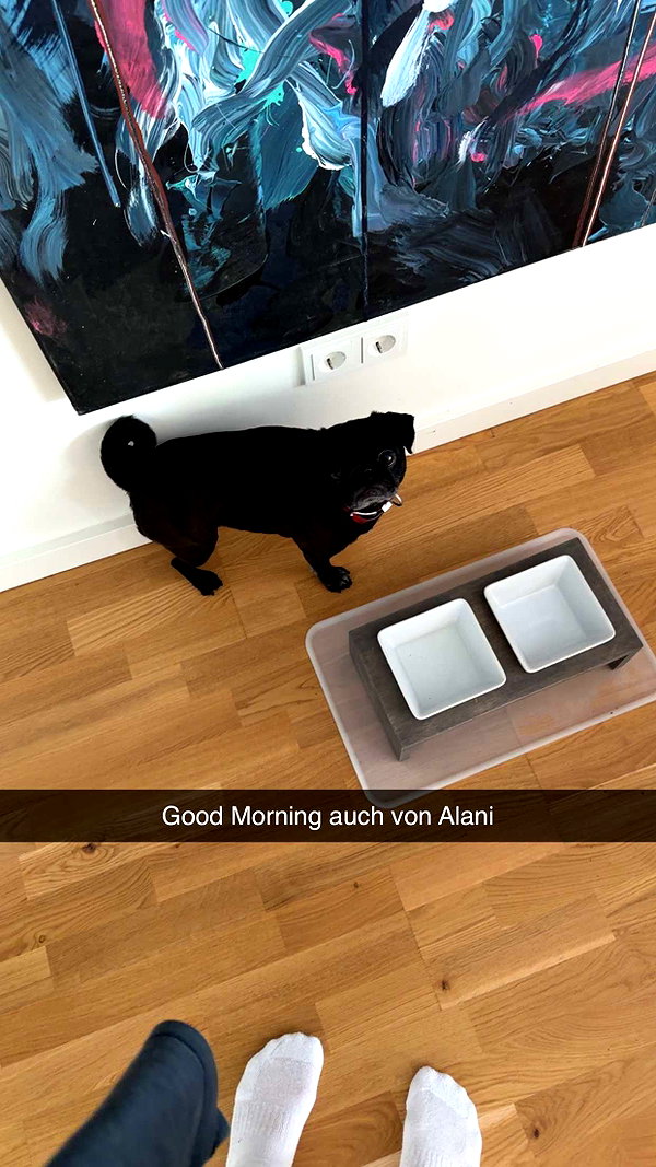 alexissshv snapchat image archive image