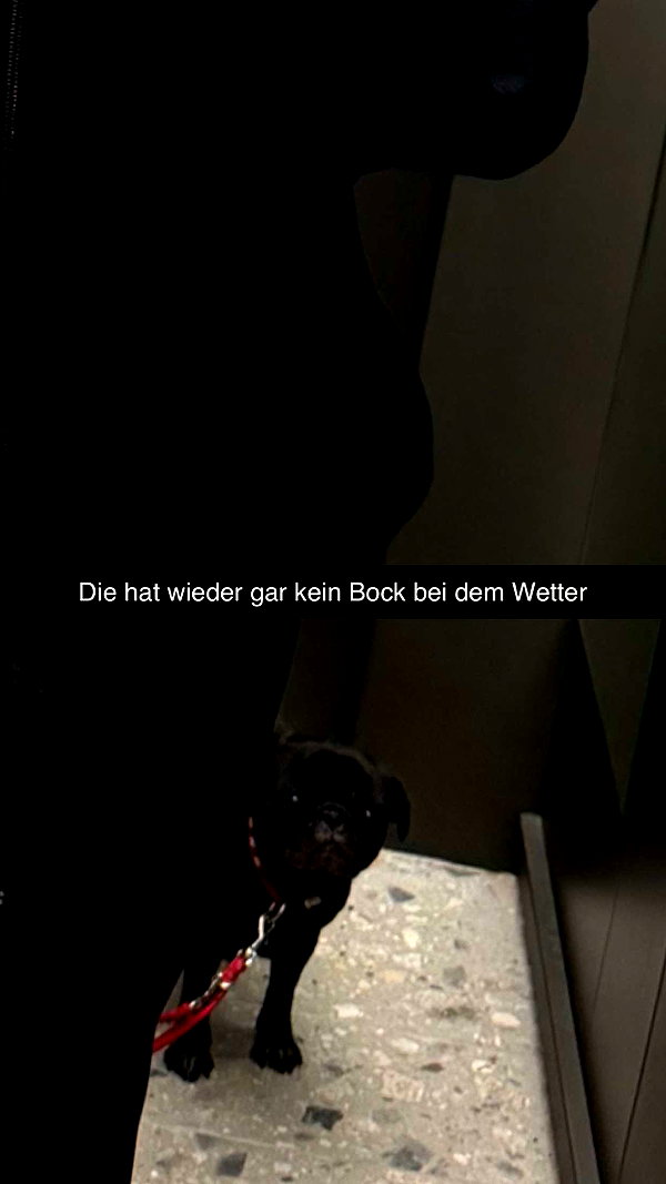 alexissshv snapchat image archive image