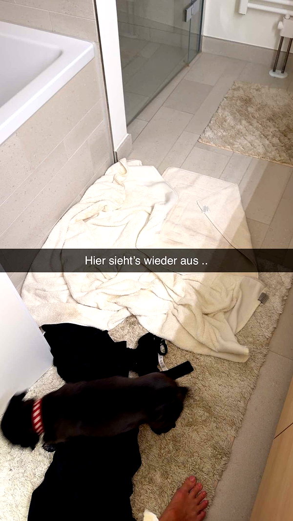 alexissshv snapchat image archive image