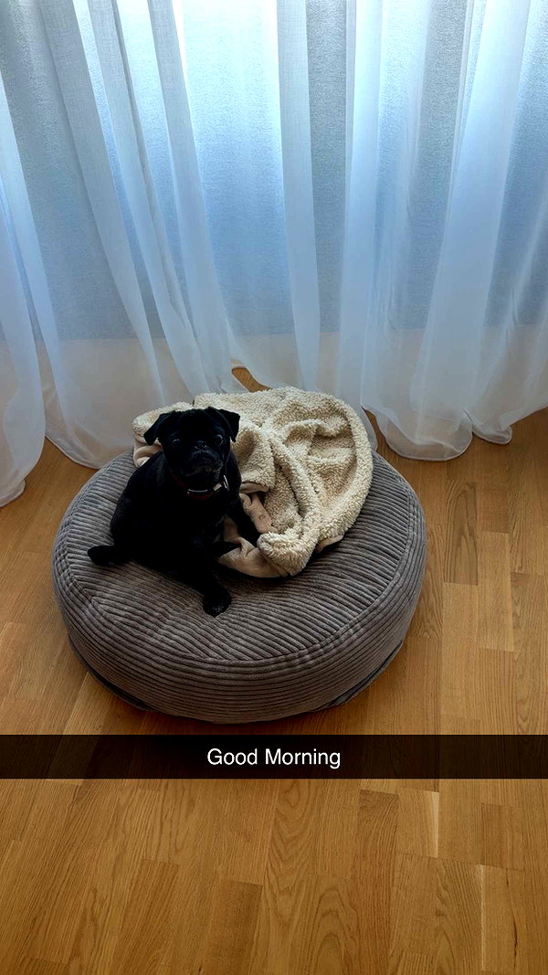 alexissshv snapchat image archive image