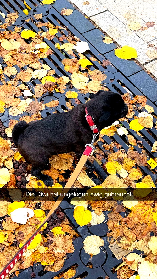alexissshv snapchat image archive image