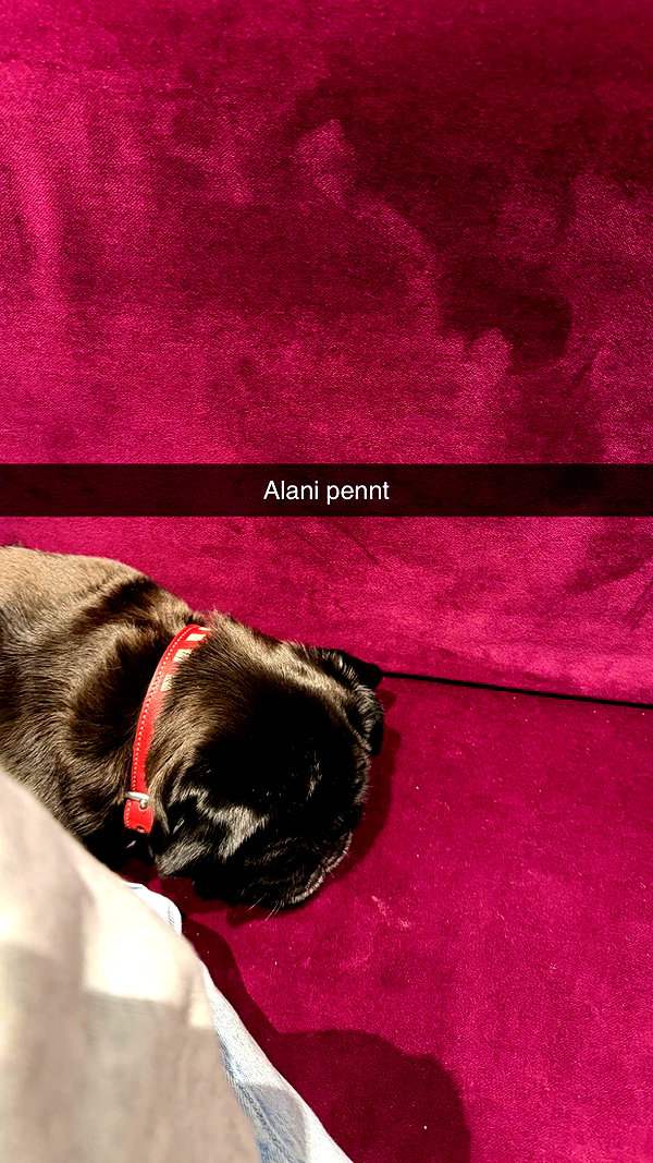 alexissshv snapchat image archive image