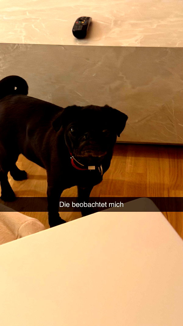 alexissshv snapchat image archive image