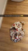 alexissshv Altpins Profile Picture