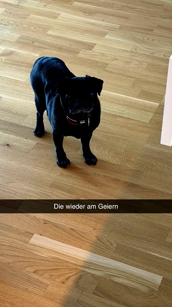 alexissshv snapchat image archive image