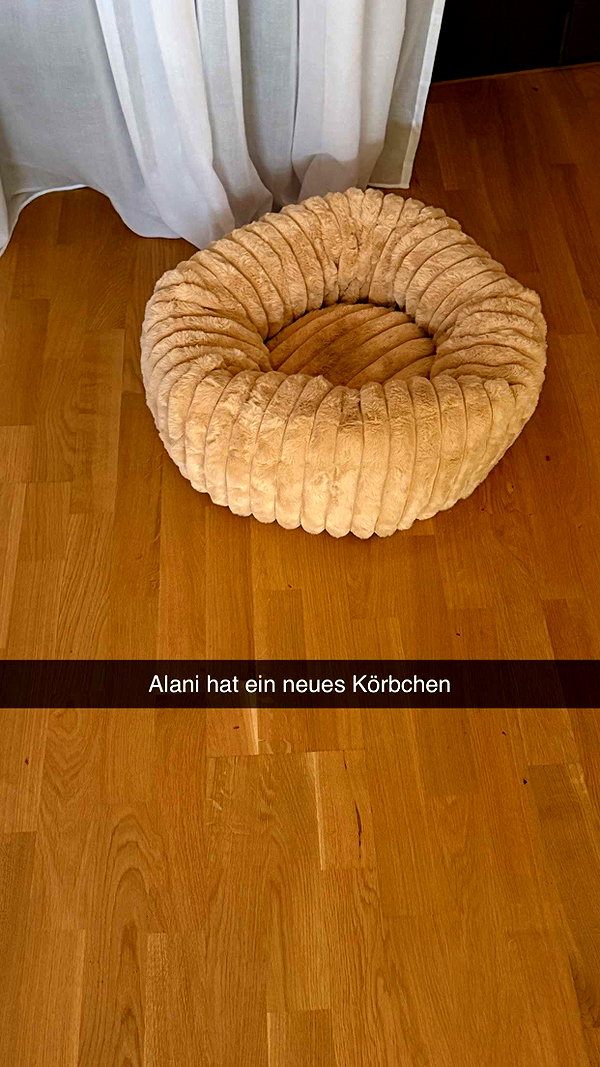 alexissshv snapchat image archive image