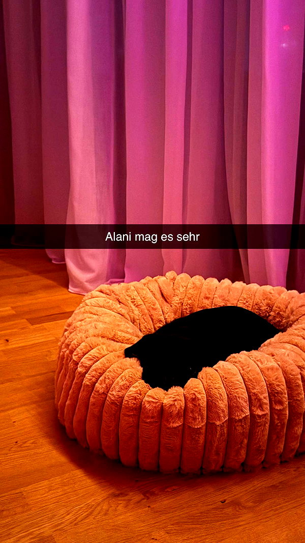 alexissshv snapchat image archive image