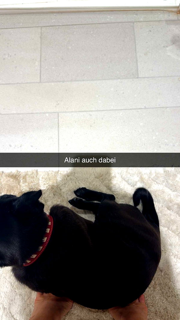 alexissshv snapchat image archive image