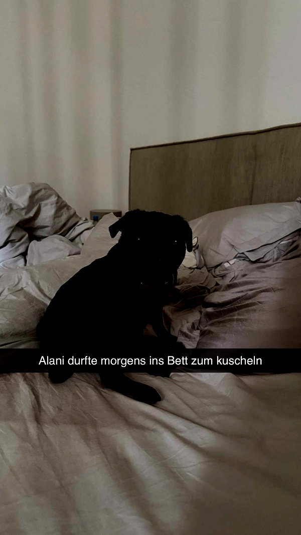alexissshv snapchat image archive image
