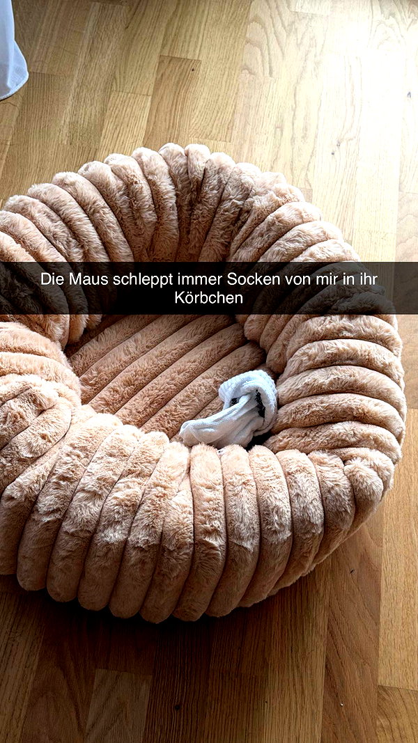 alexissshv snapchat image archive image