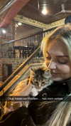 alexissshv Altpins Profile Picture
