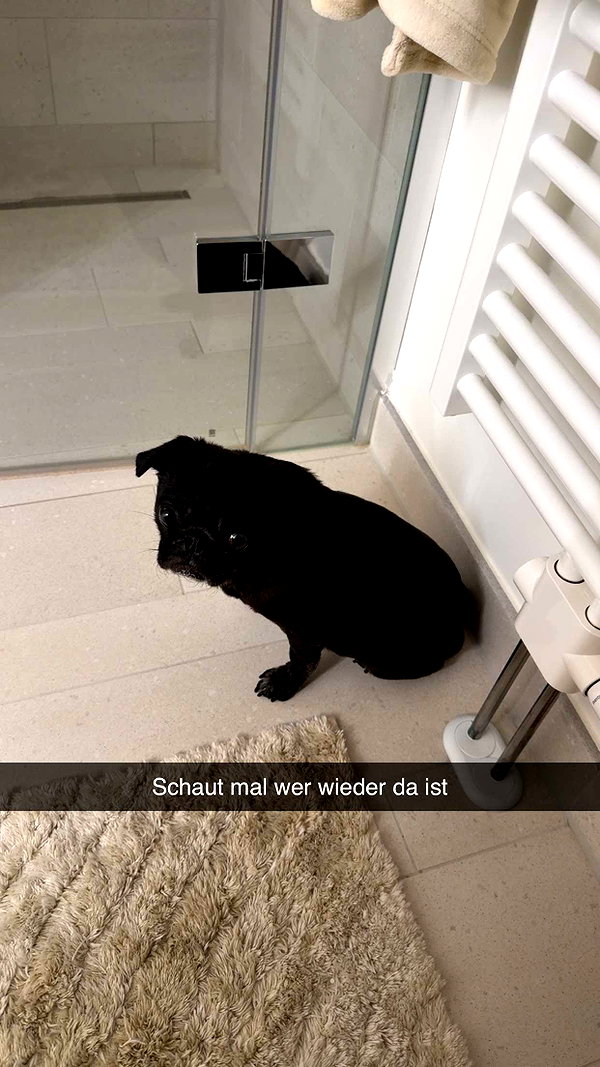 alexissshv snapchat image archive image