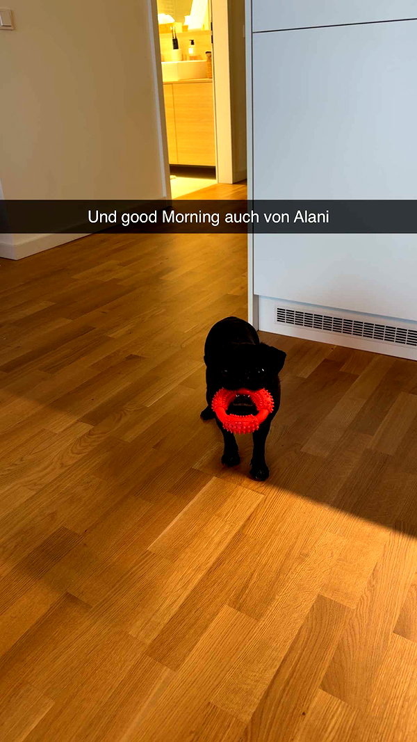 alexissshv snapchat image archive image