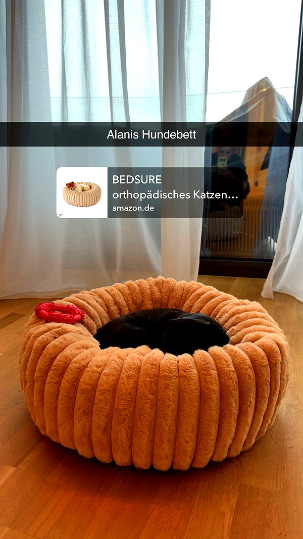 alexissshv snapchat image archive image