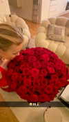 alexissshv Altpins Profile Picture