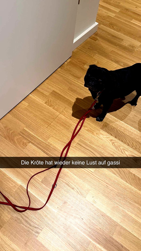 alexissshv snapchat image archive image