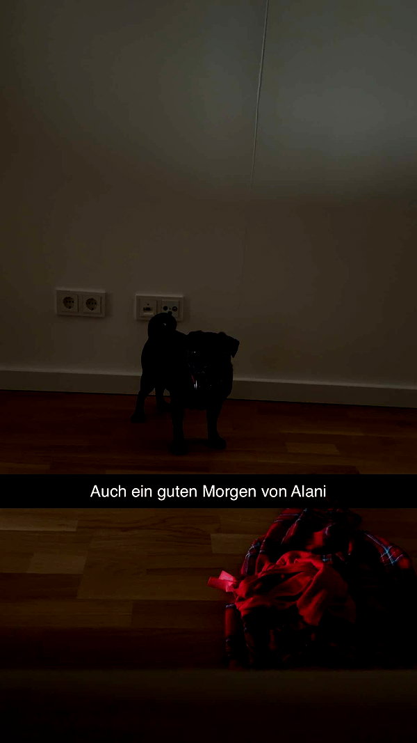 alexissshv snapchat image archive image