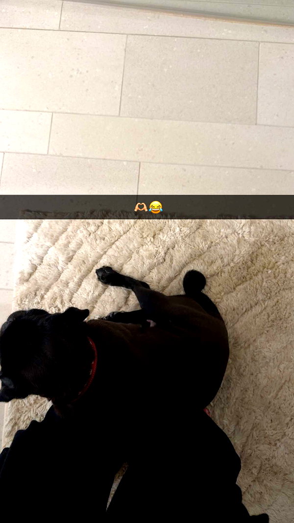 alexissshv snapchat image archive image