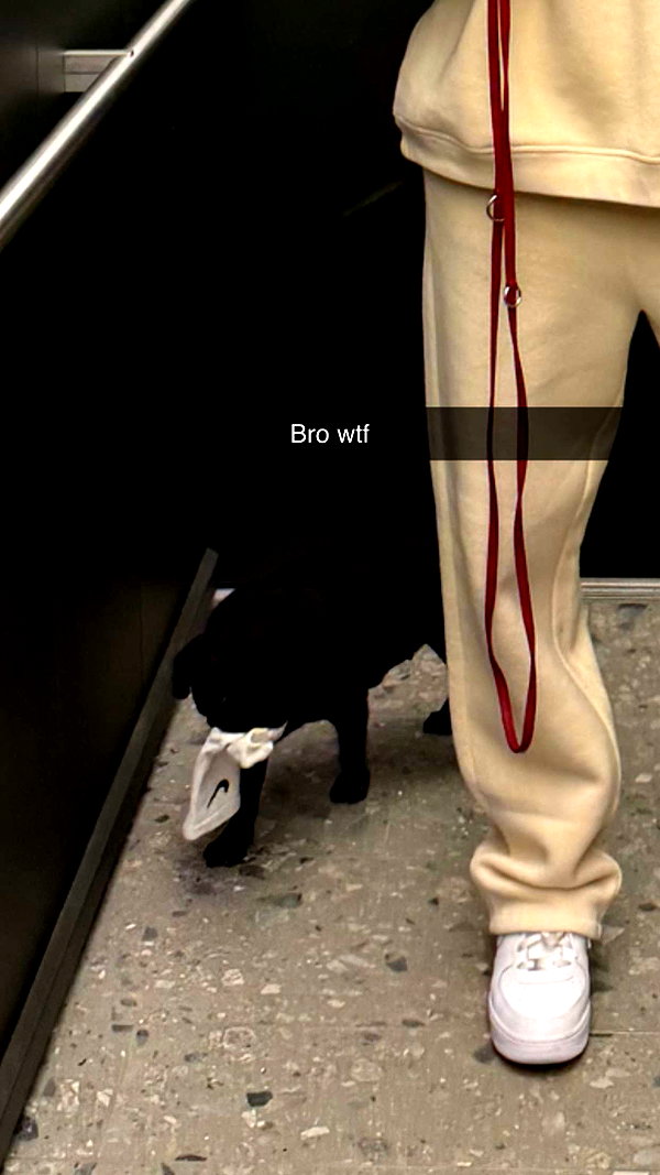 alexissshv snapchat image archive image