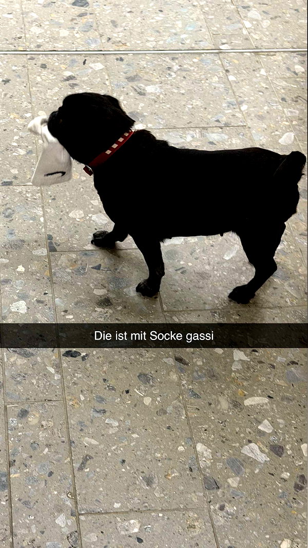 alexissshv snapchat image archive image