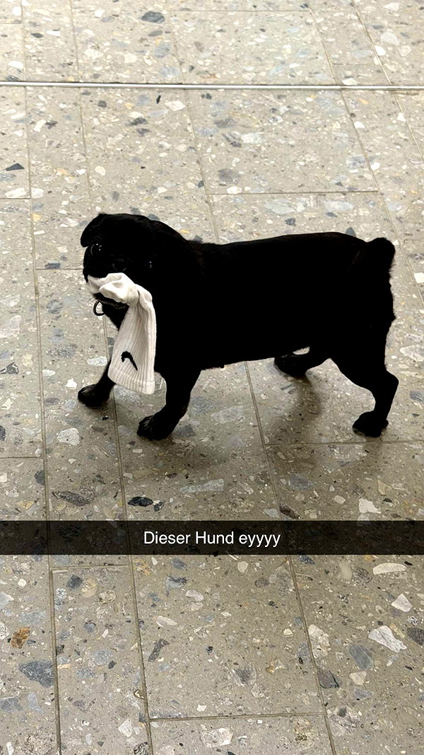 alexissshv snapchat image archive image