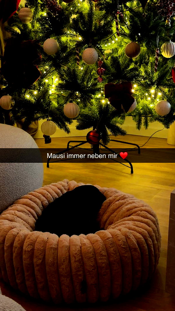 alexissshv snapchat image archive image