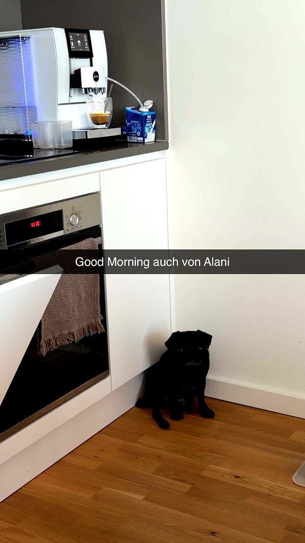 alexissshv snapchat image archive image