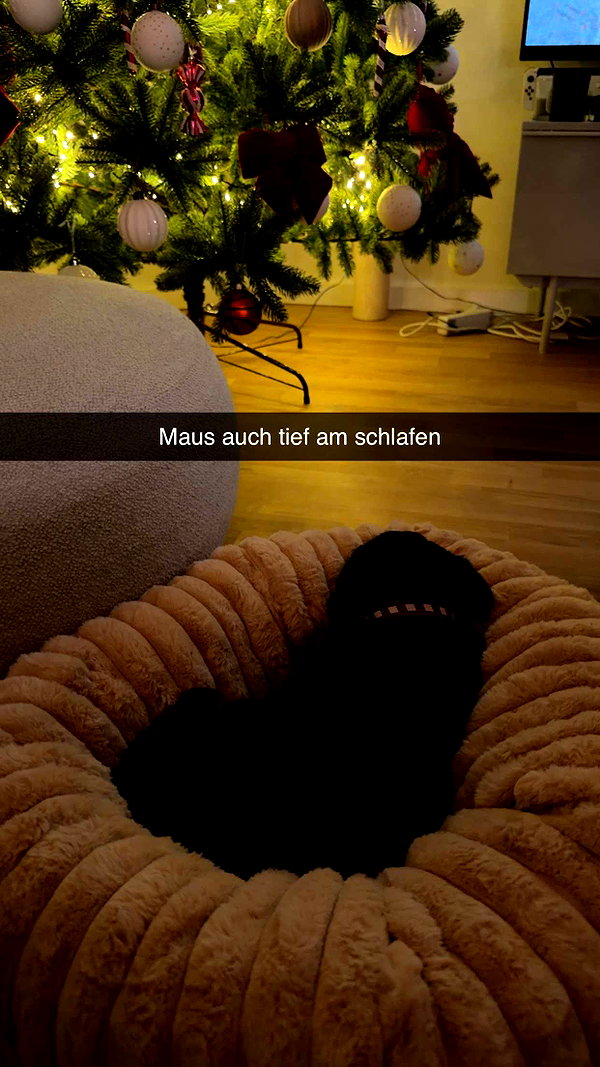 alexissshv snapchat image archive image