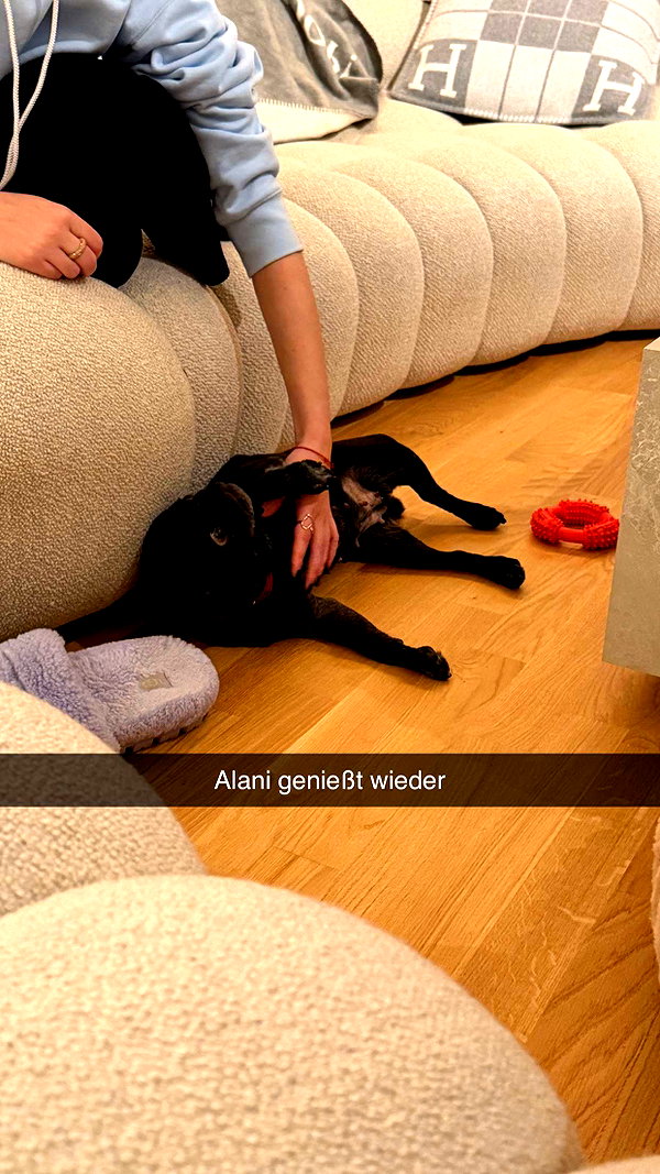 alexissshv snapchat image archive image