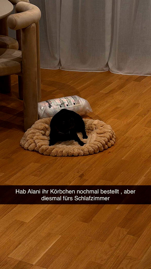alexissshv snapchat image archive image
