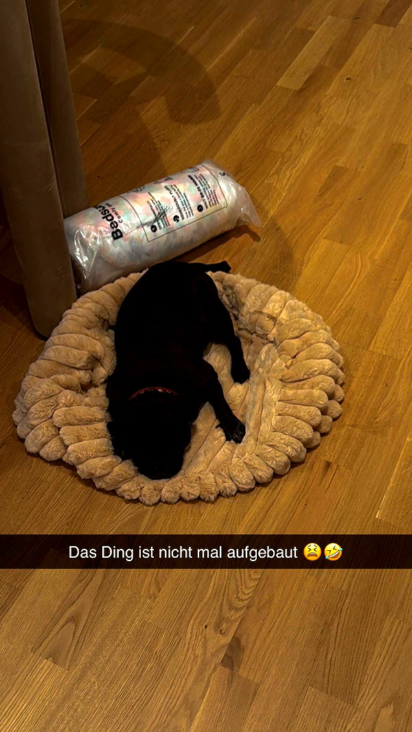 alexissshv snapchat image archive image