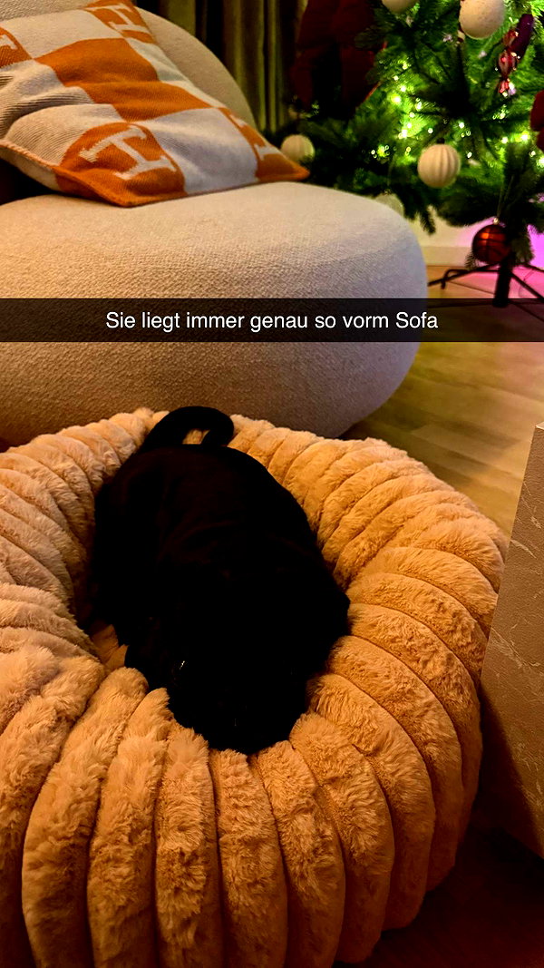 alexissshv snapchat image archive image