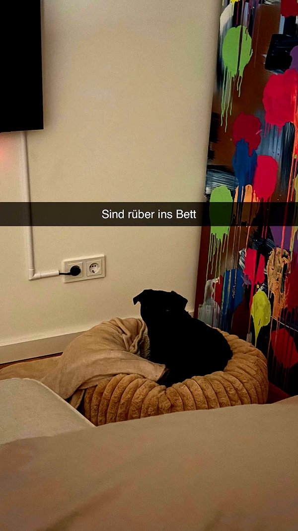 alexissshv snapchat image archive image
