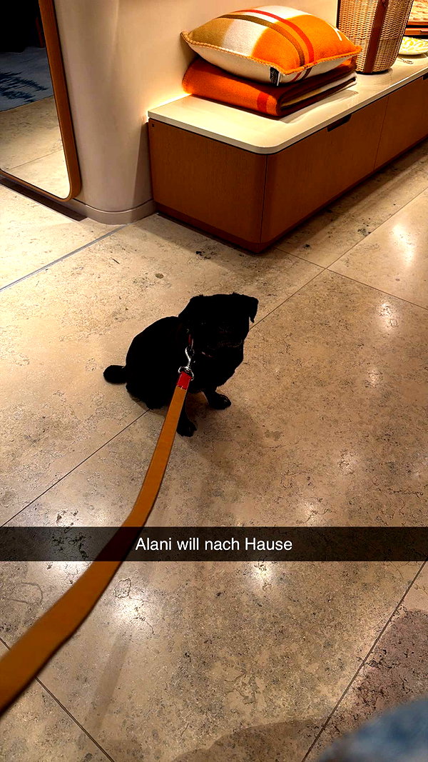 alexissshv snapchat image archive image