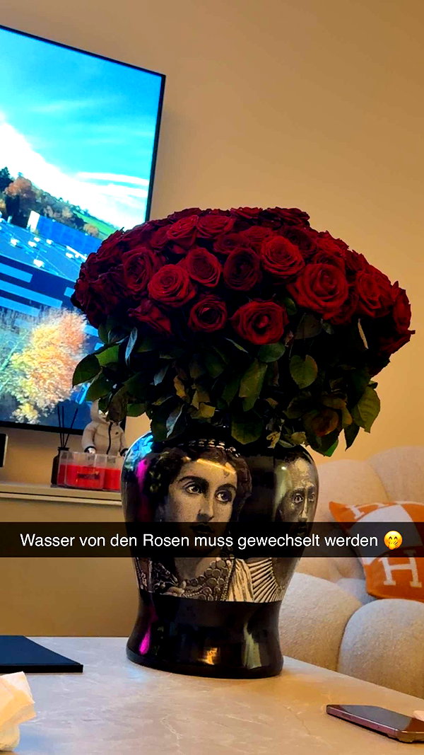 alexissshv snapchat image archive image