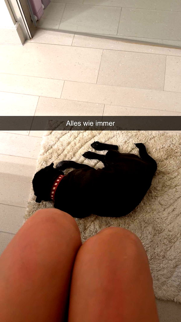 alexissshv snapchat image archive image