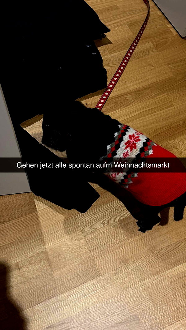 alexissshv snapchat image archive image