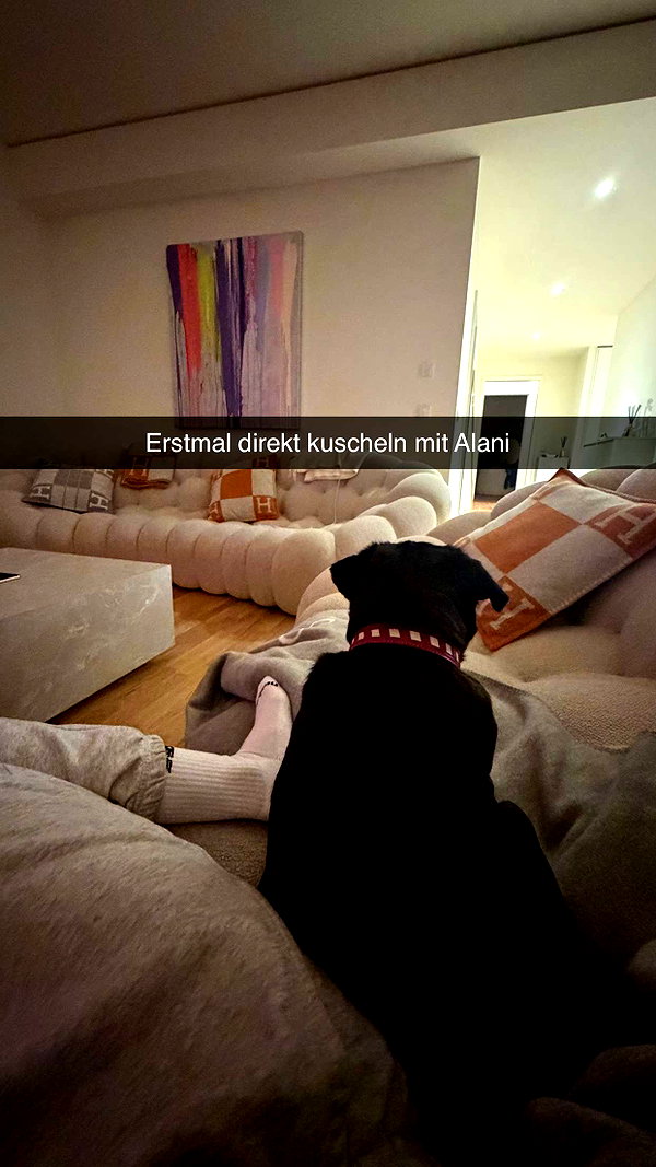 alexissshv snapchat image archive image