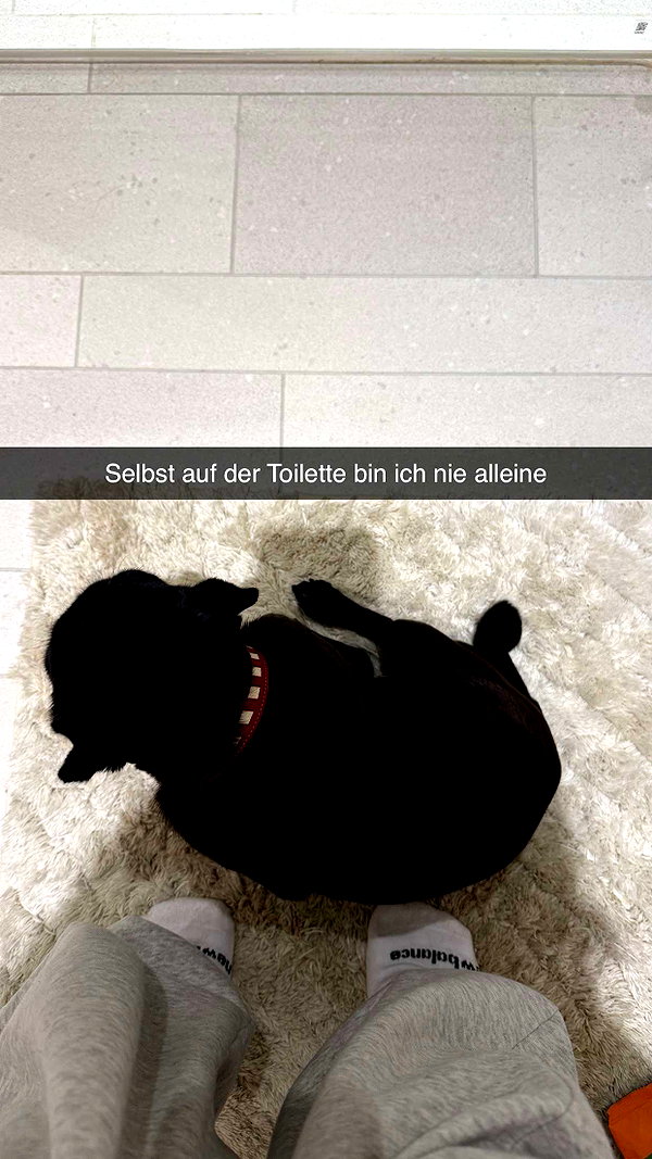 alexissshv snapchat image archive image