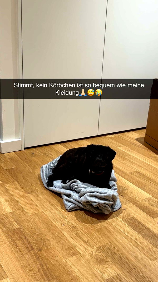 alexissshv snapchat image archive image