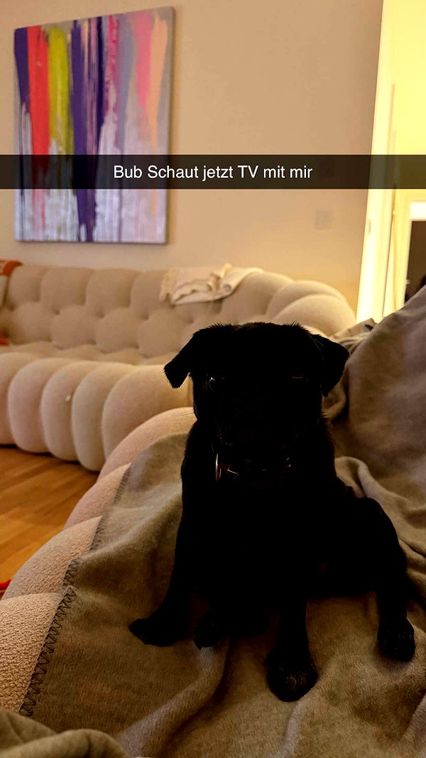 alexissshv snapchat image archive image