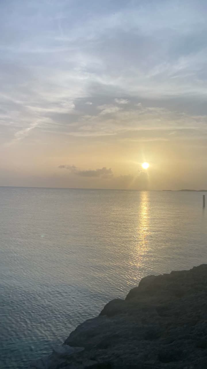 alisonbowles snapchat image archive image