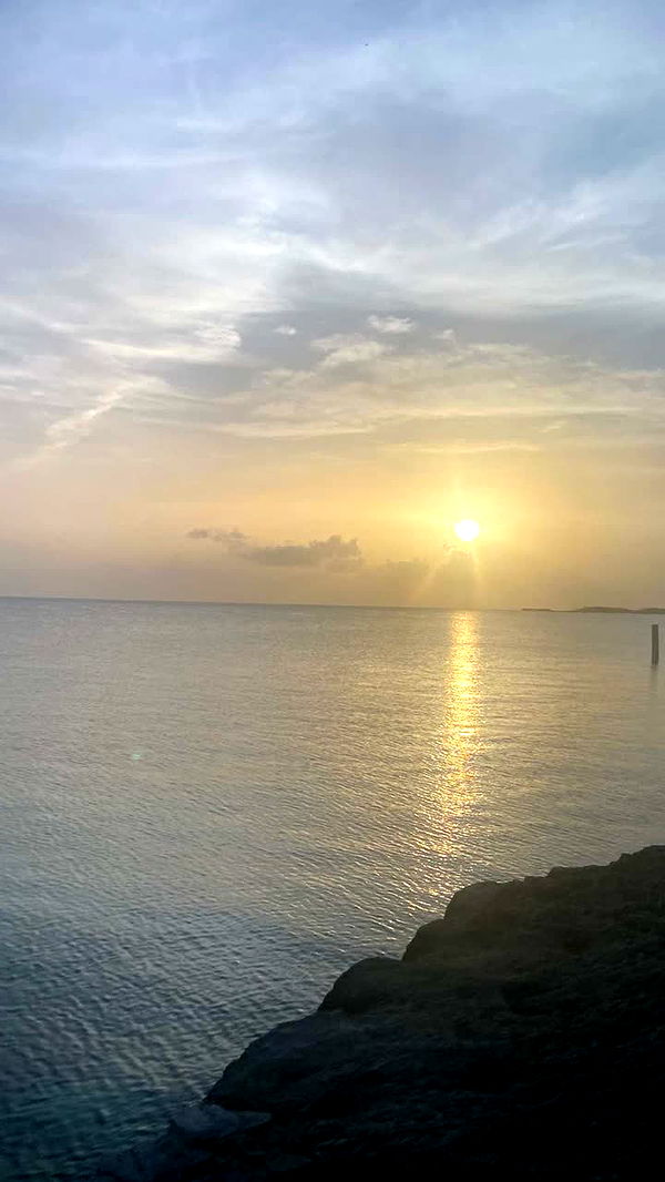 alisonbowles image ~ Altpins