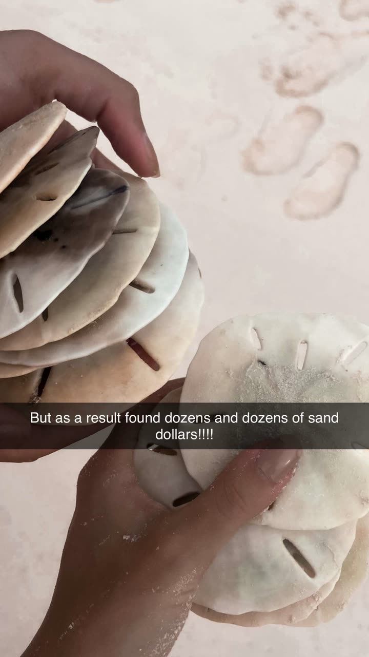 alisonbowles snapchat image archive image