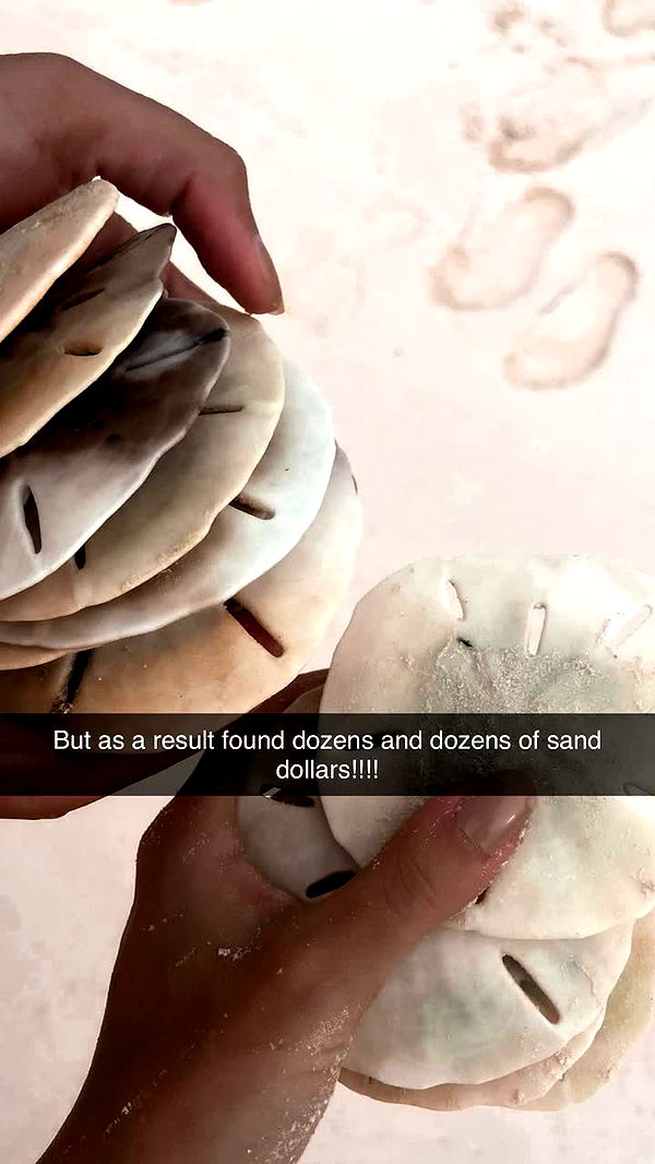 alisonbowles image ~ Altpins