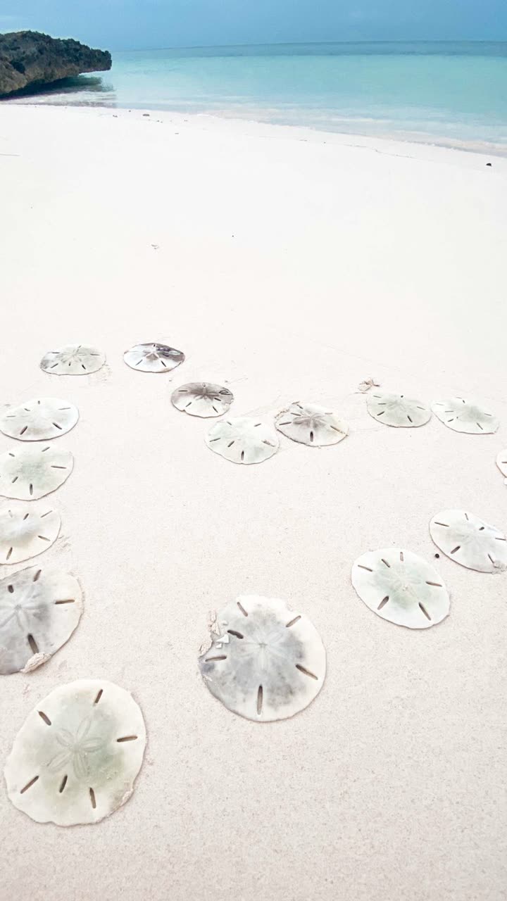 alisonbowles snapchat image archive image