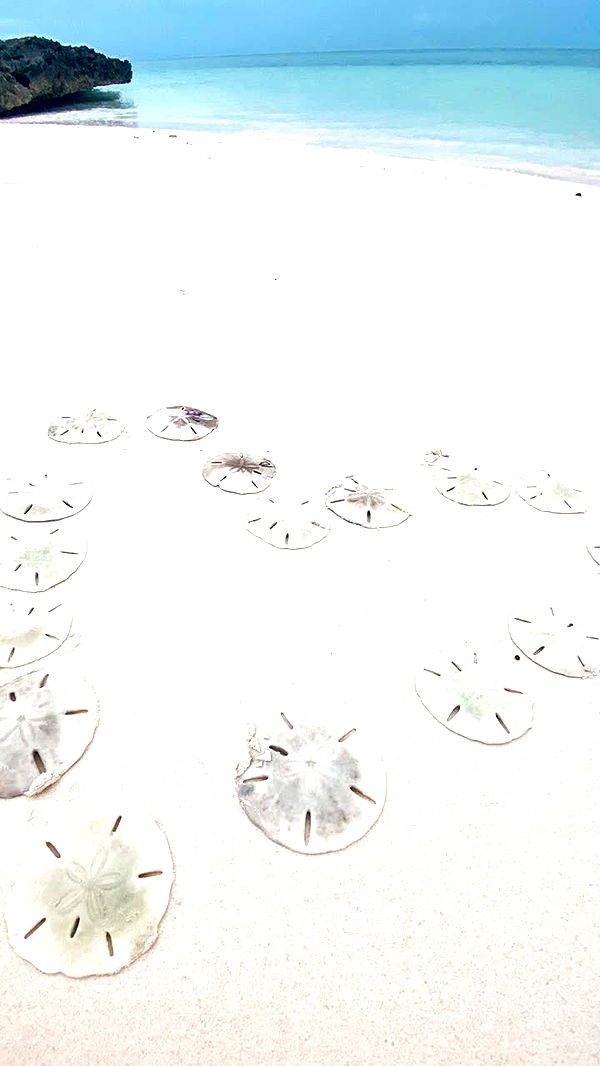 alisonbowles image ~ Altpins