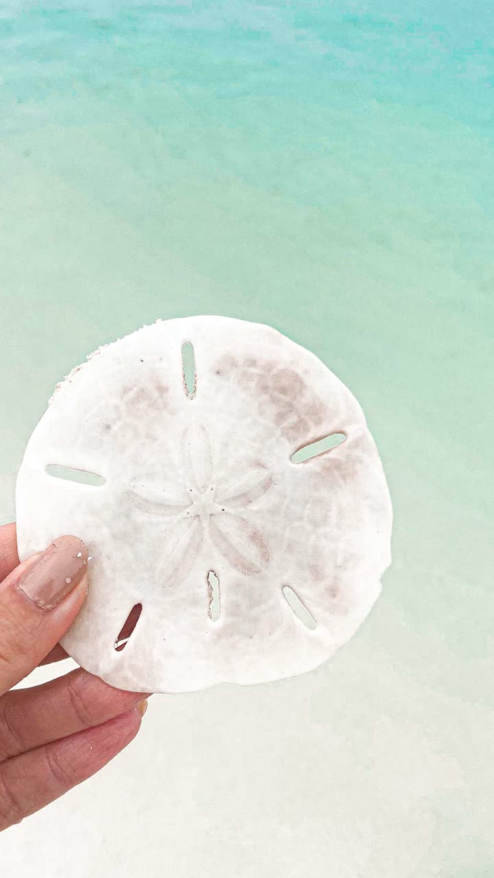 alisonbowles snapchat image archive image