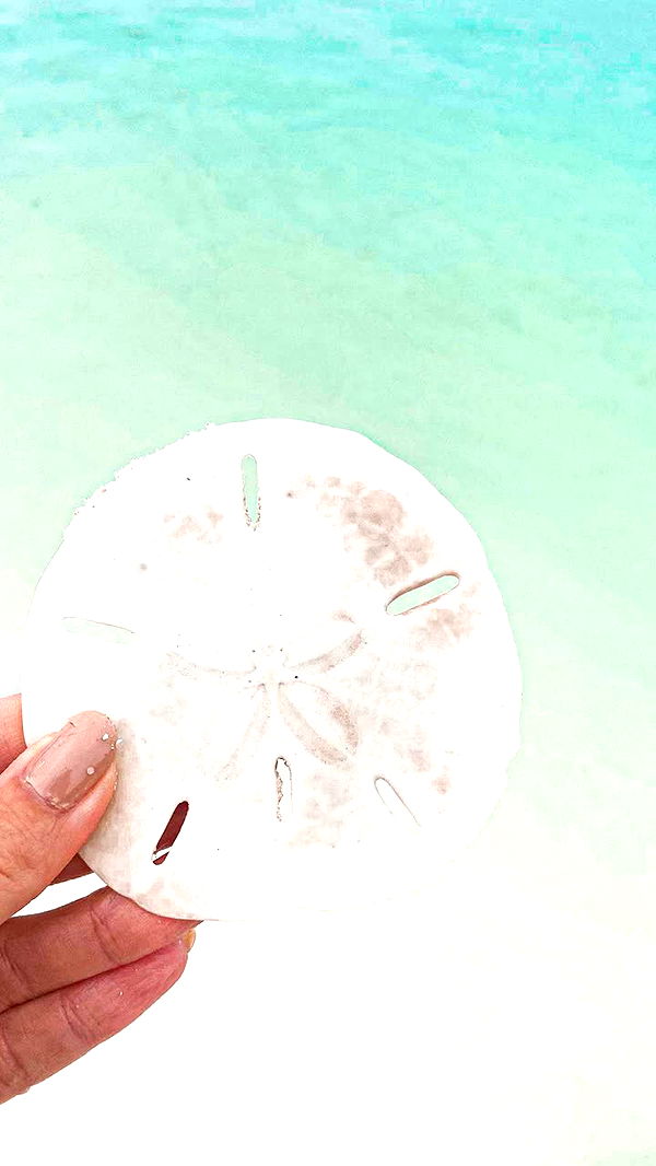 alisonbowles image ~ Altpins